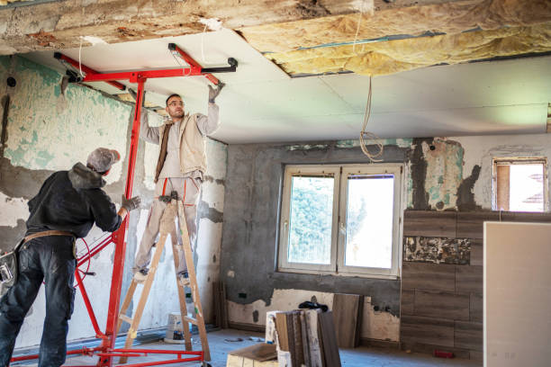 Best Eco-Friendly or Green Insulation Solutions  in Schofield, WI